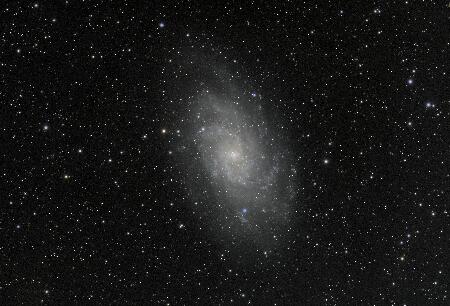 M33_NGC598, 2024-2025, 23x200R 23x200G 10x200B 33x200L, APO100Q, (Red Green Blue Luminance), Toupcam_bin2x2.jpg